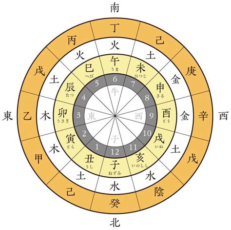 10天干12地支|干支